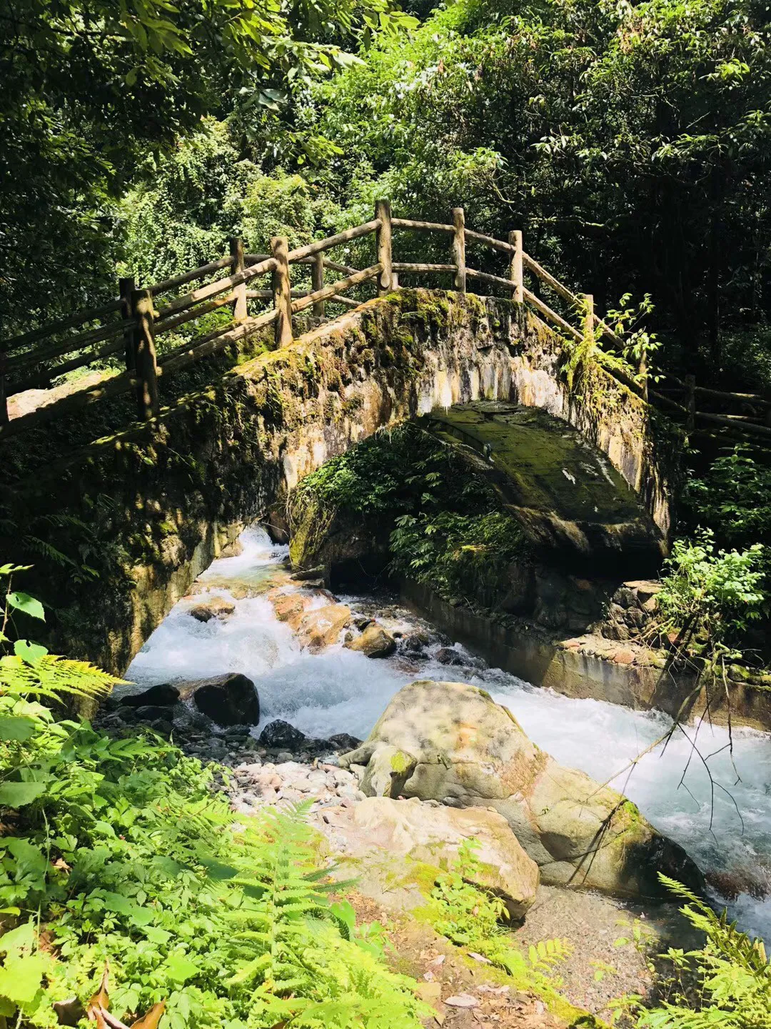 青岛港奇袭广深背后，新旧王换位，山东大踏步走向枢纽经济
