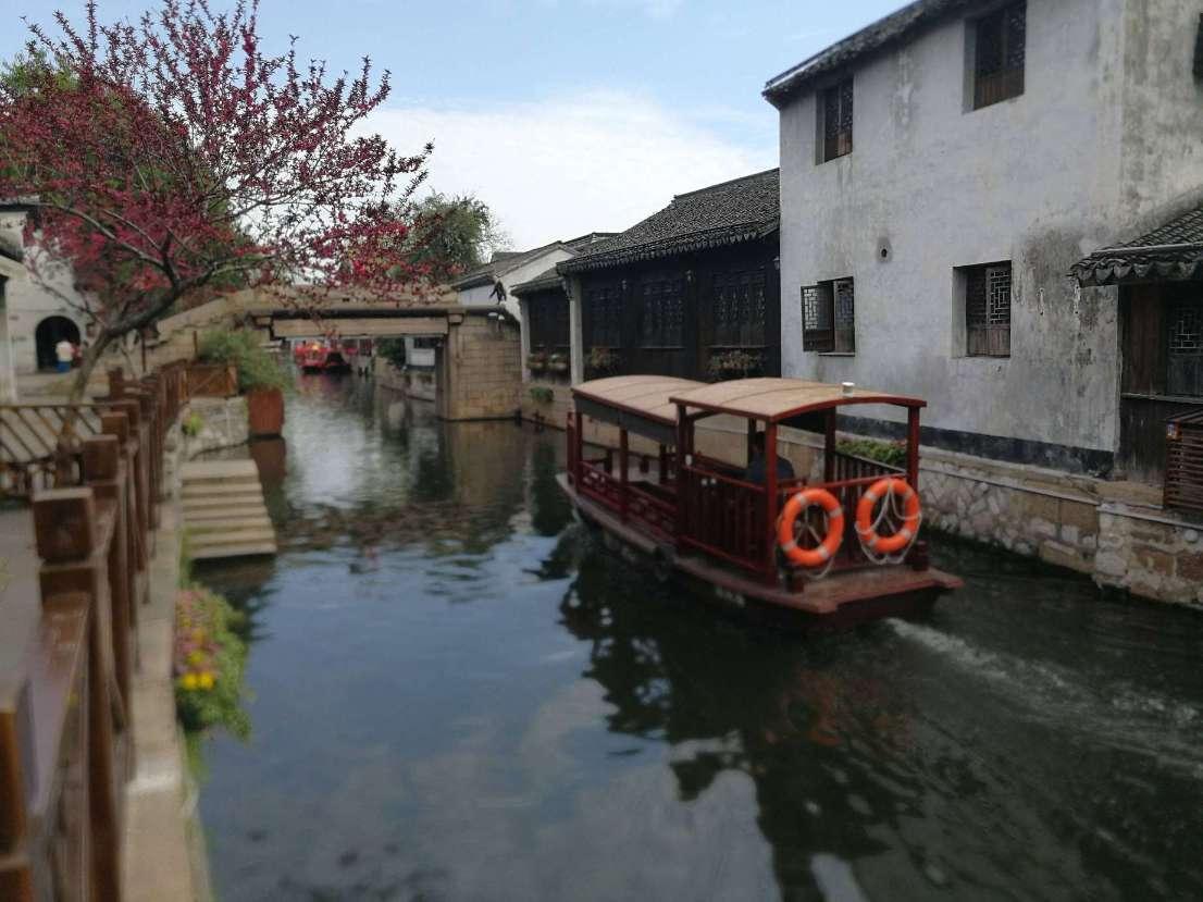 逃离橙园